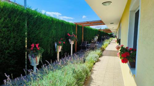 Cozy Room with garden in Bratislava, Bratislava (photo 8)