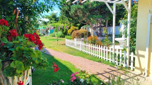 Cozy Room with garden in Bratislava, Bratislava (photo 11)