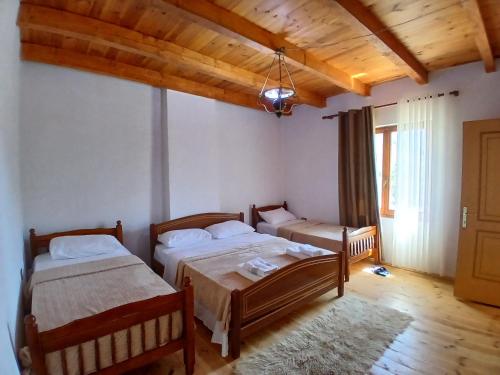 Vellezrit Shkambi in Qender Theth