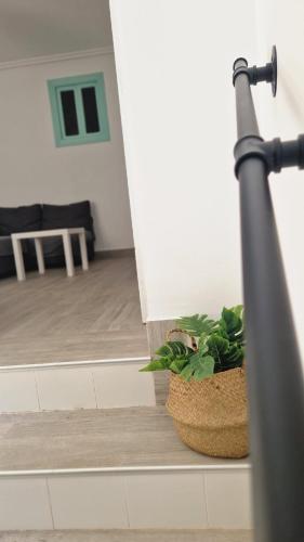 Fasiliteter, Apartamento turístico "Mi casina" AT-CC-00782 (Apartamento turistico "Mi casina" AT-CC-00782) in Casar De Caceres