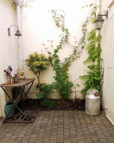 Room with carparking, bicycles and small breakfast, Bruges (photo 10)