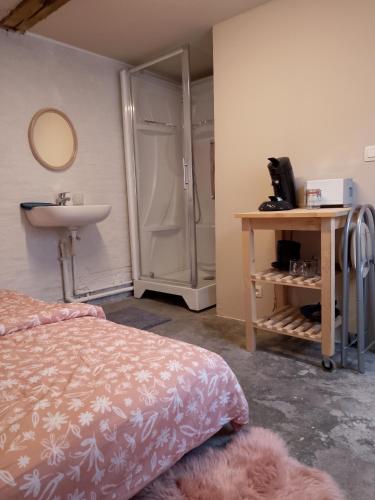 Room with carparking, bicycles and small breakfast, Bruges (photo 7)