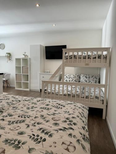 One-Bedroom Apartment image 4