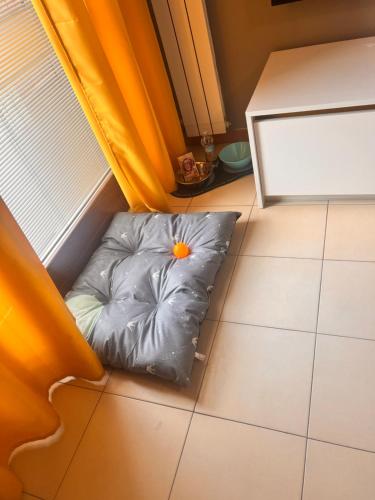 Suite Sinfonia, Bergamo (photo 5)