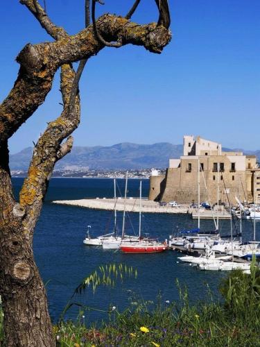 Terrammare del Golfo
