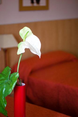 Hotel Las Terrazas - Albolote