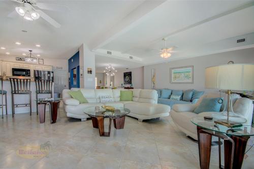 Water Lover in Indian Rocks Beach (Florida)