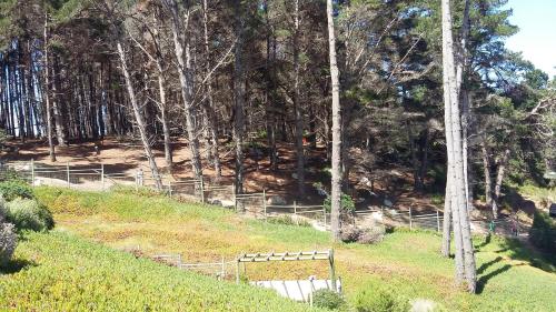 Algarrobo Apartment