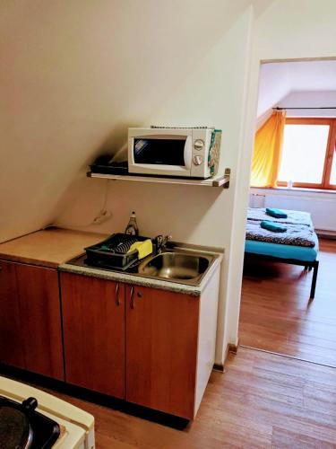 Vila Pavlinka apartmany Losiny in 大洛西尼