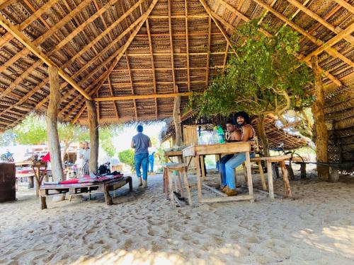 Jungle Surf Camp in Panama