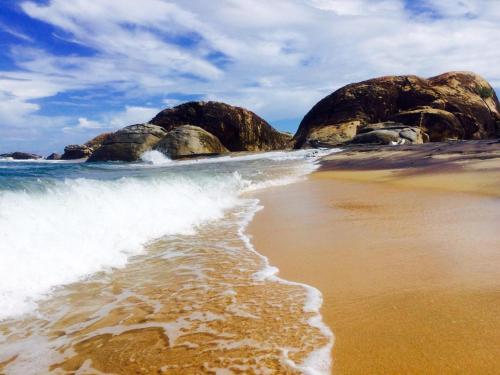 Jungle Surf Camp in Panama