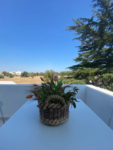 Il Sentiero in Santa Fara