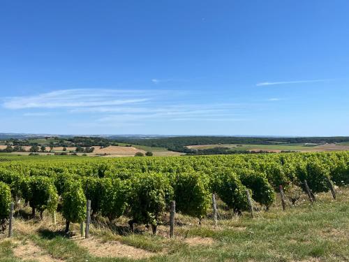 المنطقة المحيطة, Auberge Sainte-Gemme in بانناي