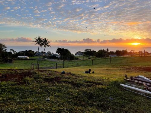 Hawaii Magic Skies B&B Farmstay - image 6