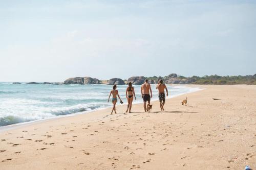 Jungle Surf Camp in Panama