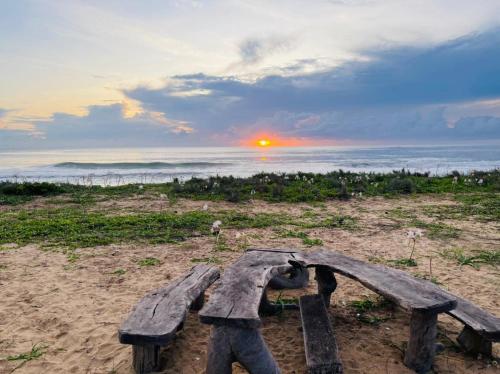 Jungle Surf Camp in Panama
