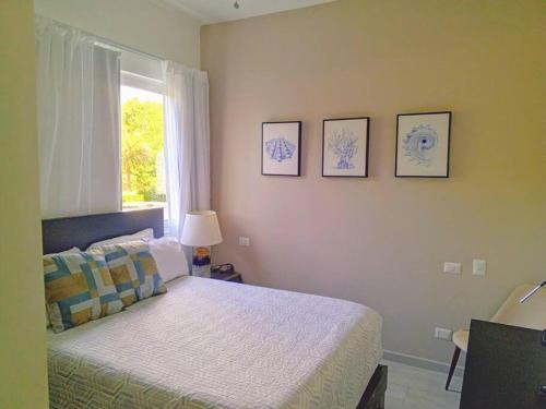 Peace Pool & Comfort at Hard Rock Peace Pool & Comfort at Hard Rock