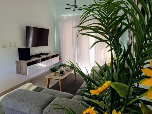 Peace Pool & Comfort at Hard Rock Peace Pool & Comfort at Hard Rock