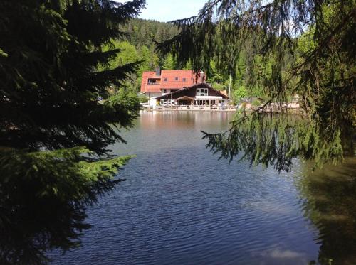 Self-check-in Ferienwohnungen & Apartments am Bergsee