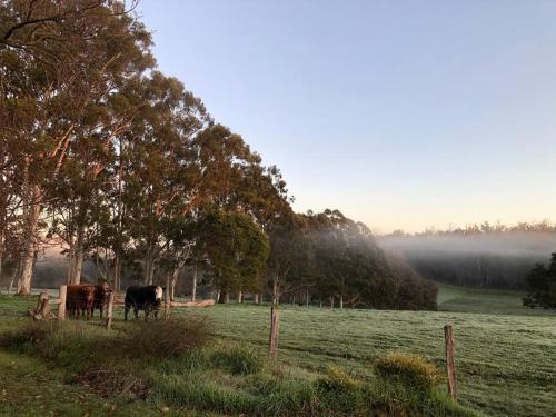 Surrounding environment, Cherswood Farm in Manjimup