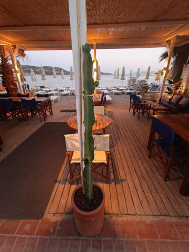Bitezyalıhan Hotel - image 3