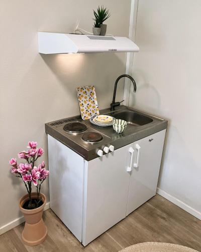 Kitchen, Skovly in Viborg