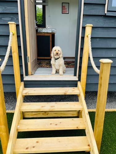 The Burds Nest in Hatch Beauchamp