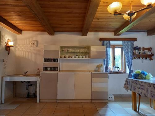 Kitchen, Chalupa U Lesa Frymburk Lipno in Frymburk