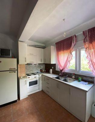 Σπίτι στα Έλατα (Σπιτι στα Ελατα) in อีเพียรุส