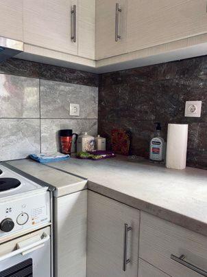 Σπίτι στα Έλατα (Σπιτι στα Ελατα) in อีเพียรุส