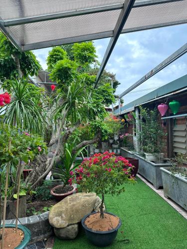 Homestay Mai Ngọc Tây Ninh - 정원