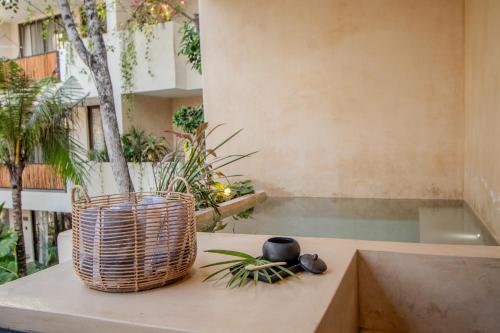 Tulum 2 br suite plunge pool AC WiFi Room Type - Two-Bedroom Apartment Tulum 2 br suite plunge pool AC WiFi Room Type - Two-Bedroom Apartment