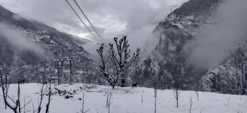 Yashraj Cottage and Cafe