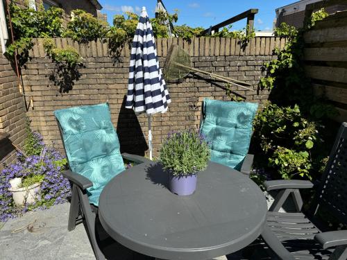 Kert, Strandduin - Vakantiewoning aan de Kust - 52 in Egmond aan Zee