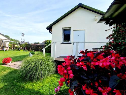 Bursztynek Łunowa (Bursztynek Lunowa) in Lunowo