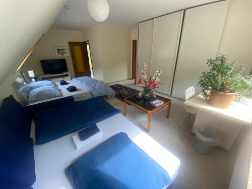 Gartenblick-Oase: Obergeschosswohnung in Hamburg, Hamburk (fotografie 2)