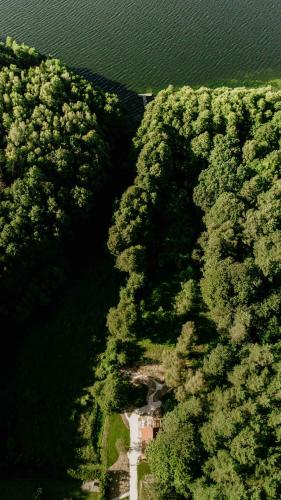 Balia i Las Domek nad jeziorem MoreLife House