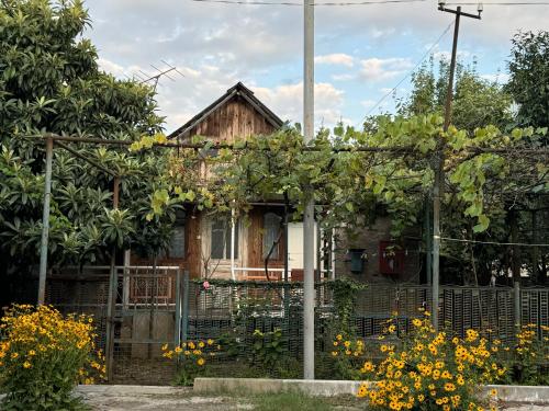 cottage in Chakvi, Chakvi