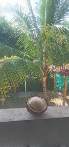 OCEANSURF hotel in Mompiche