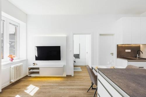 BNB Stylish apartment next to president palace, Bratislava (fotografie 6)