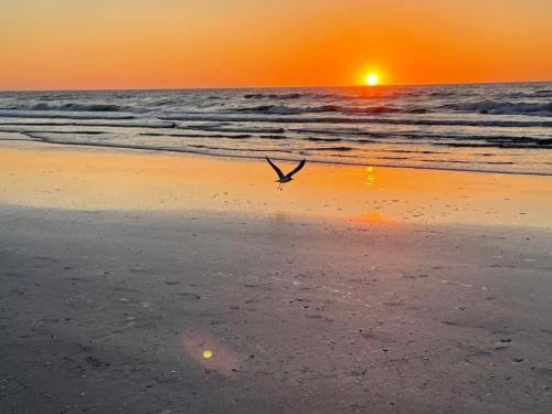 Beach Glass - Island Getaway in Corpus Christi, USA