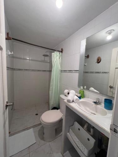 Casa Mahatma Palomino