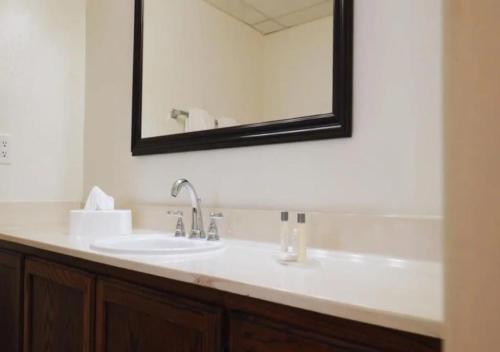 Apartment image 10