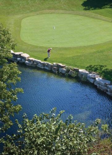 Worldmark Branson 1BD - image 4