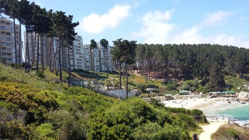 Algarrobo Apartment