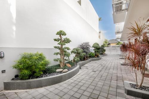 One-Bedroom Apartment image 6