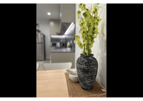 Macquarie Guest House - main image