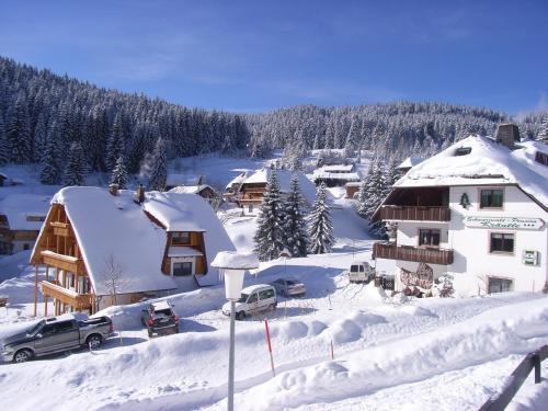 Udvendig, Schwarzwald-Hotel Kraeutle in Feldberg ( Baden Wuerttemberg )