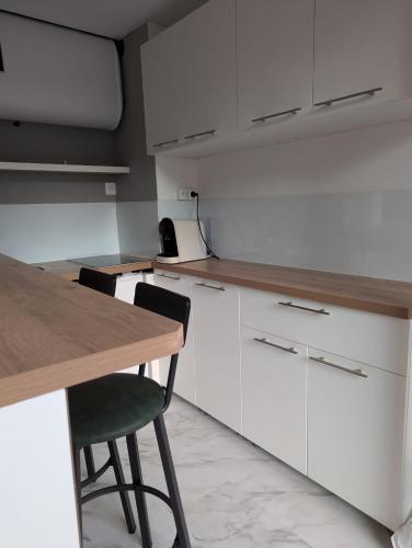 T1 bis de 30 m2 avec terrasse, Toulouse (fotografie 4)