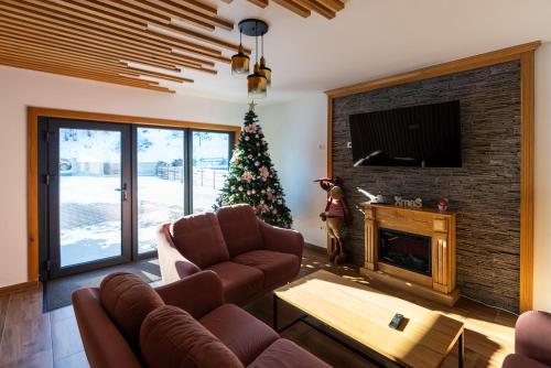 Közös társalgó / TV, The North Legend in Strimtura